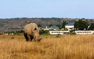 Long Lee manor (Copy) [320x200]